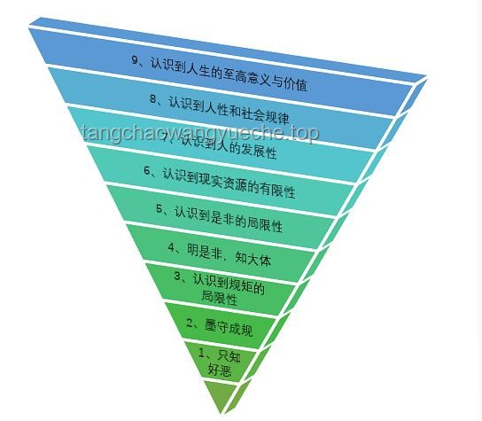 “满级人类”的决策迷雾：挑战常规认知的案例分析