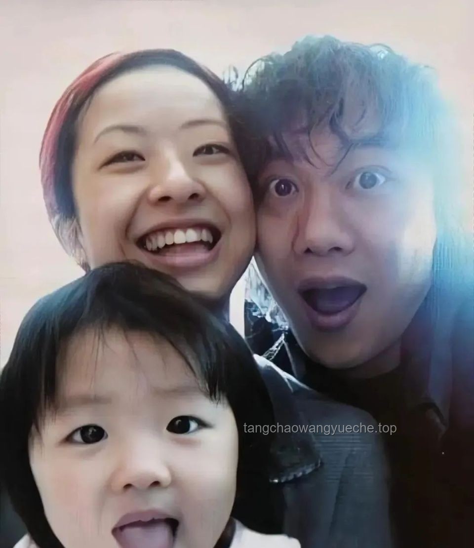 陈奕迅女儿出道策划与应对方案