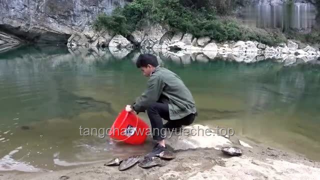 赶海现抓现吃时遇到可爱小水母的处理方案