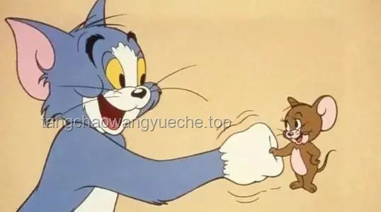 如何应对“老猫猴子进村”带来的系列问题？