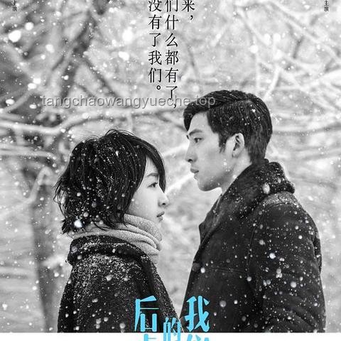 刘若英致歉声明撰写实用指南：如何诚恳表达歉意并重建信任