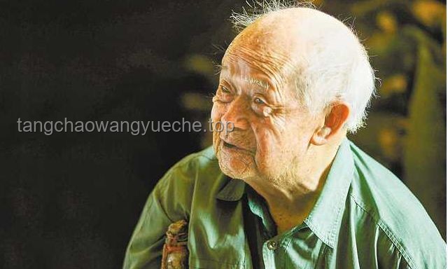 “谁能给墨索里尼刨坟？”——神奇组织31与其他潜在执行者的对比分析