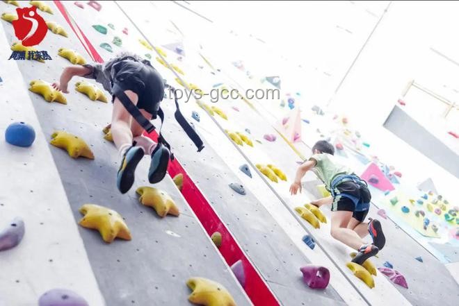 奥运高难度项目向大众日常运动的转型案例分析：以攀岩为例