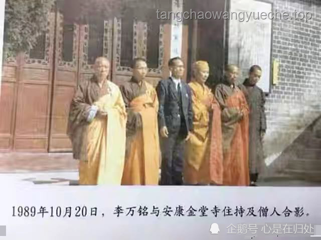 藏海传蒯铎双重身份揭秘实操指南