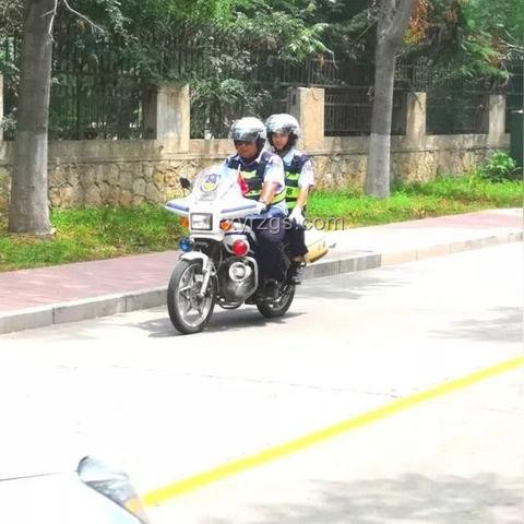 女网红违停行为与普通民众违停行为的对比分析