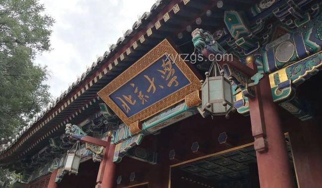 韦东奕粉丝数破2000万案例研究