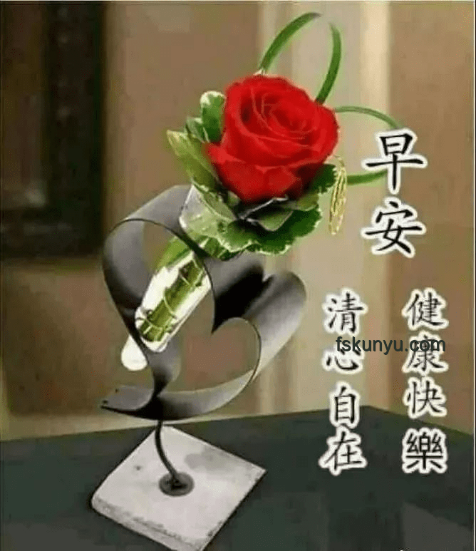 早上起来这样发，朋友圈会被赞爆！✨美好瞬间, 生活仪式感, 心灵鸡汤, 创意分享, 正能量爆棚