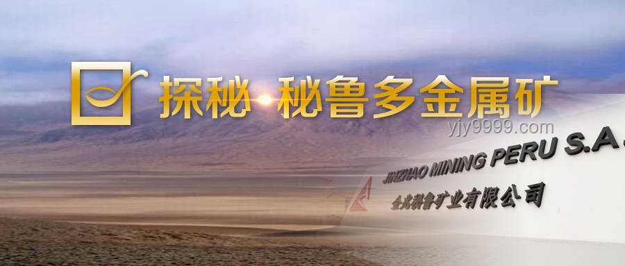 慎独探秘·情网金牢的创新深度解码