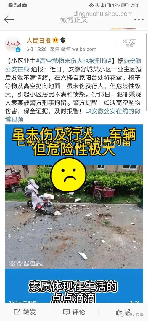 高空抛物致命案背后的行业警钟：饲主责任与社区安全