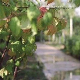 北大回应商家售卖未名湖湖水问题解决方案