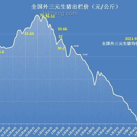 A股震荡亲历记：4000只个股飘绿的教训与启示 📉💡