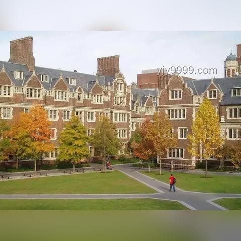 京都大学数据科学&东大CS/复杂理工合格经验分享
