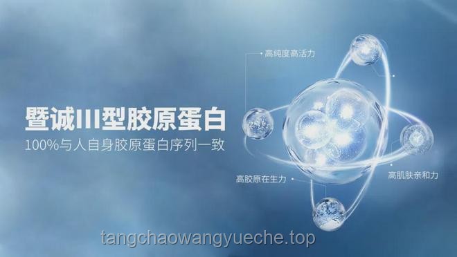 残障人士游戏新纪元：辅助技术跨界创新
