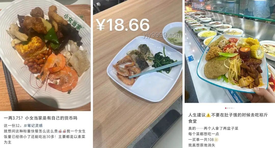 海底捞多元化探索：打工人盒饭背后的经营策略
