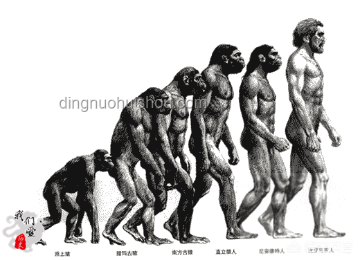 中国科学家确认史前母系社会，Nature成果重大意义