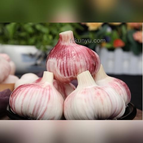 老人味原因深度剖析：55岁后警惕，远离异味晚年